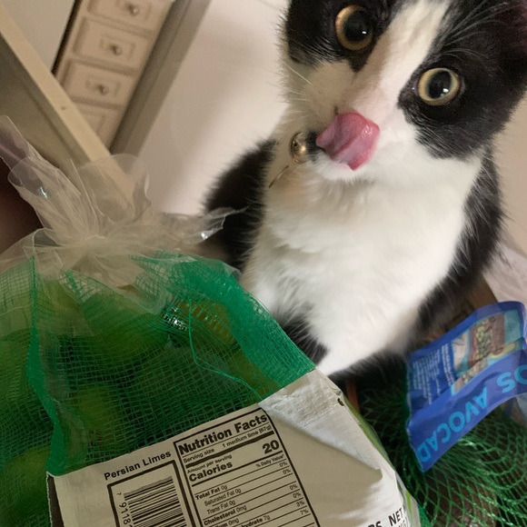 Meet your Posher, Nikki - Picture 6 of 6